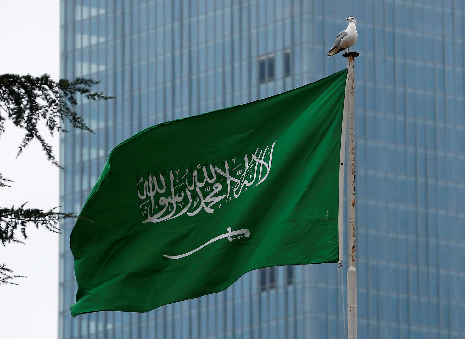 كيفية إلغاء التبرع بالأعضاء في السعودية عبر تطبيق توكلنا