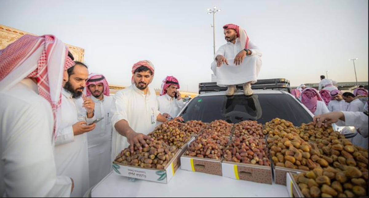 أكثر من 200 شاب يشاركون في بيع التمور بالتجزئة وسط كرنفال بريدة للتمور