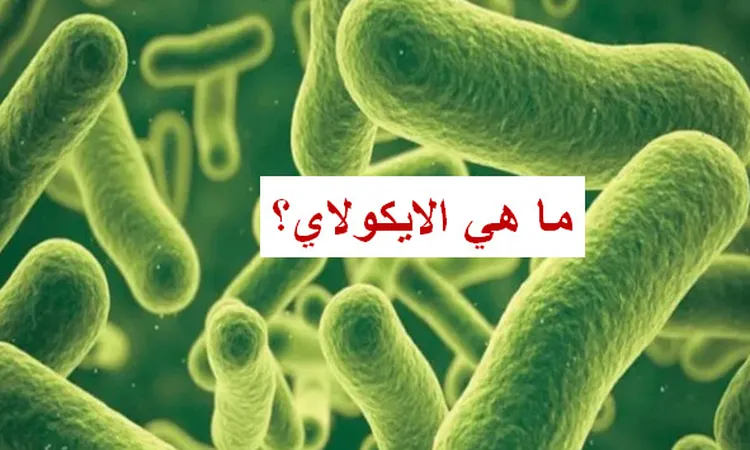 ما هي بكتريا الإيكولاي عقب إصابة حالات كثيرة بأسوان والكشف عن أعرضها