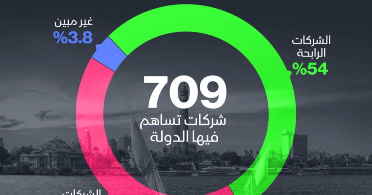 إنفوغراف: 54% من الشركات التي تساهم فيها الحكومة المصرية رابحة