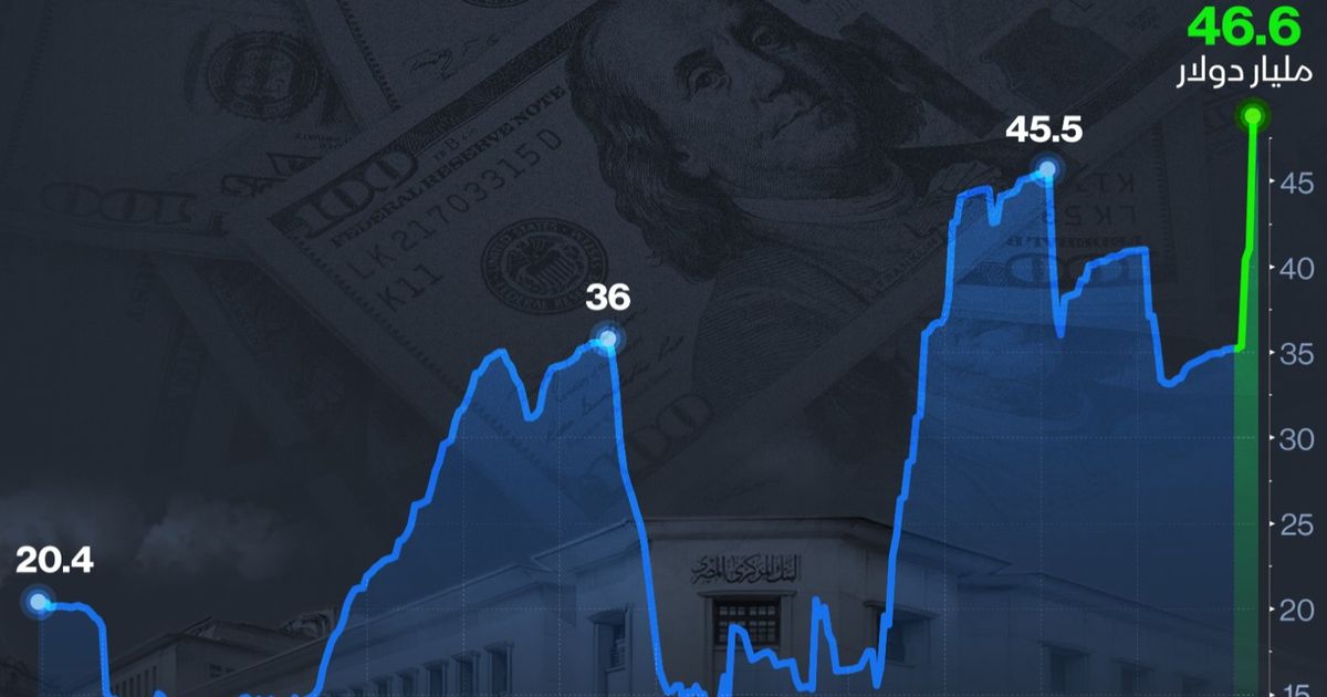 إنفوغراف: احتياطي مصر الأجنبي يرتفع 11.4 مليار دولار منذ بداية العام