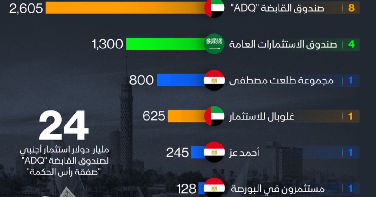 إنفوغراف: كم بلغت حصيلة مصر من بيع 17 شركة حكومية؟