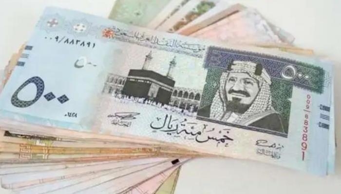 سعر الريال السعودي مقابل الجنيه المصري اليوم الأحد 8 سبتمبر 2024