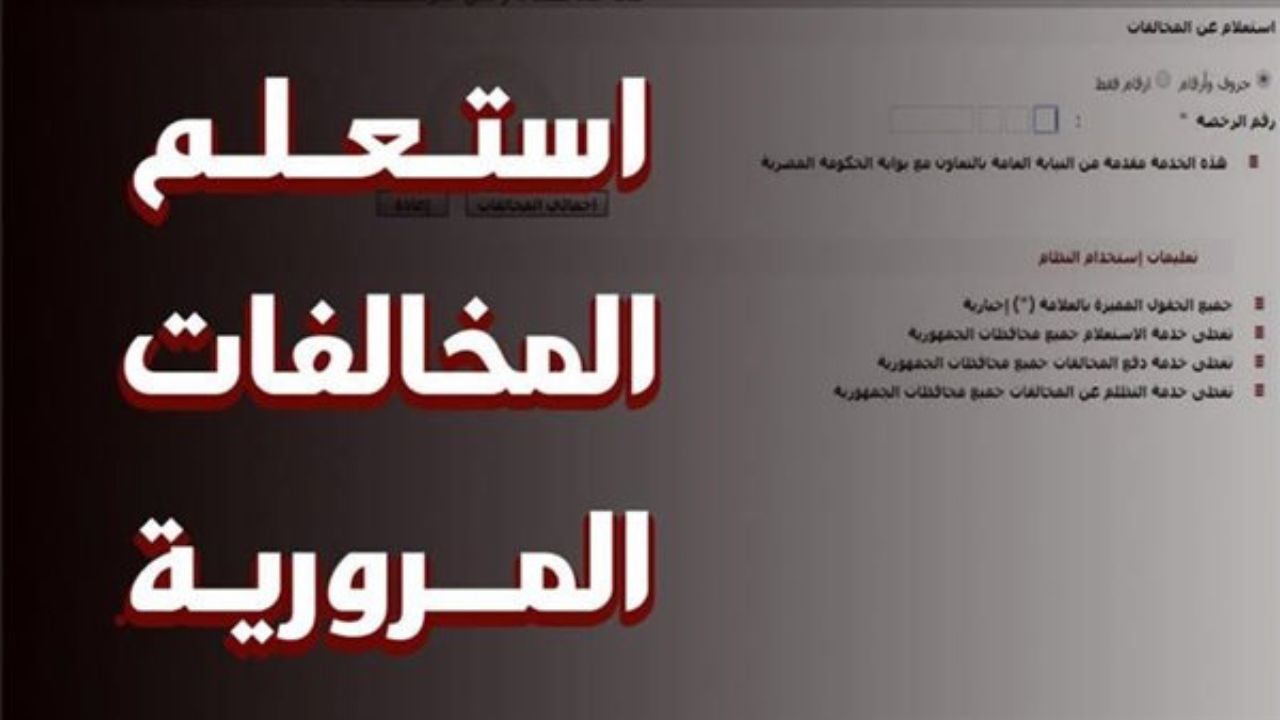 بضغطة زر.. خطوات الاستعلام عن مخالفات المرور 2025 باستخدام الرقم القومي