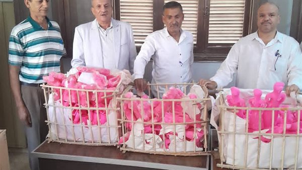 تموين سوهاج يشن حملة مكبرة بمدينة دار السلام جنوب سوهاج