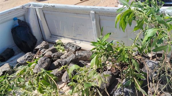 استمرار أعمال التشجير وزراعة الشتلات بمركز البداري في إطار مبادرة “100 مليون شجرة”