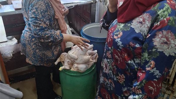 تحرير 44 محضر مخالفات.. وضبط وإعدام مواد غذائية مجهولة المصدر بالمنوفية