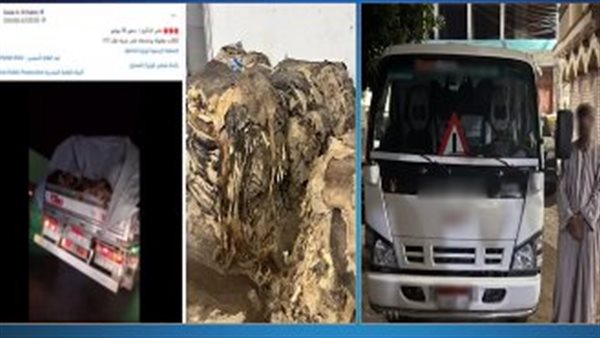الداخلية تكشف حقيقة فيديو سيارة تنقل “كلاب نافقة” بمحور 26 يوليو