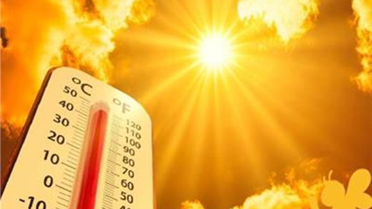 الأرصاد تكشف تفاصيل طقس غداً السبت.. وتحذر من موجة الحر والشبورة المائية