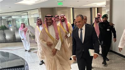«تعزيز التعاون الصناعي والاستثماري».. وزير الخارجية يلتقي وزير الصناعة السعودي|صور
