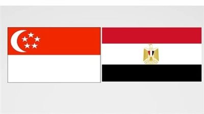 زيارة رئيس سنغافورة لمصر.. دفعة قوية لتعزيز التعاون الاقتصادي وجذب الاستثمارات الآسيوية