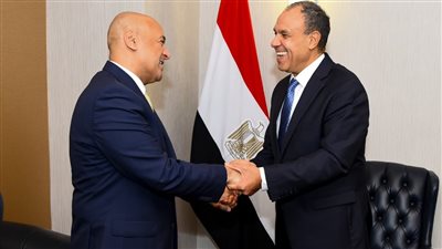 وزير الخارجية: أمن الخليج العربي جزء لا يتجزأ من الأمن القومي المصري