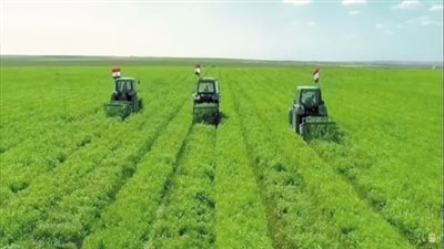 إجراءات عاجلة للمزارعين مع دخول الخريف.. تأجيل زراعات وتحذير من أمراض التربة والثمار