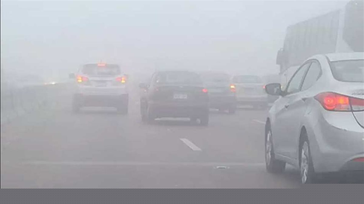 شبورة صباحية ورياح وأمطار خفيفة متفرقة.. الأرصاد تكشف حالة الطقس غدا السبت