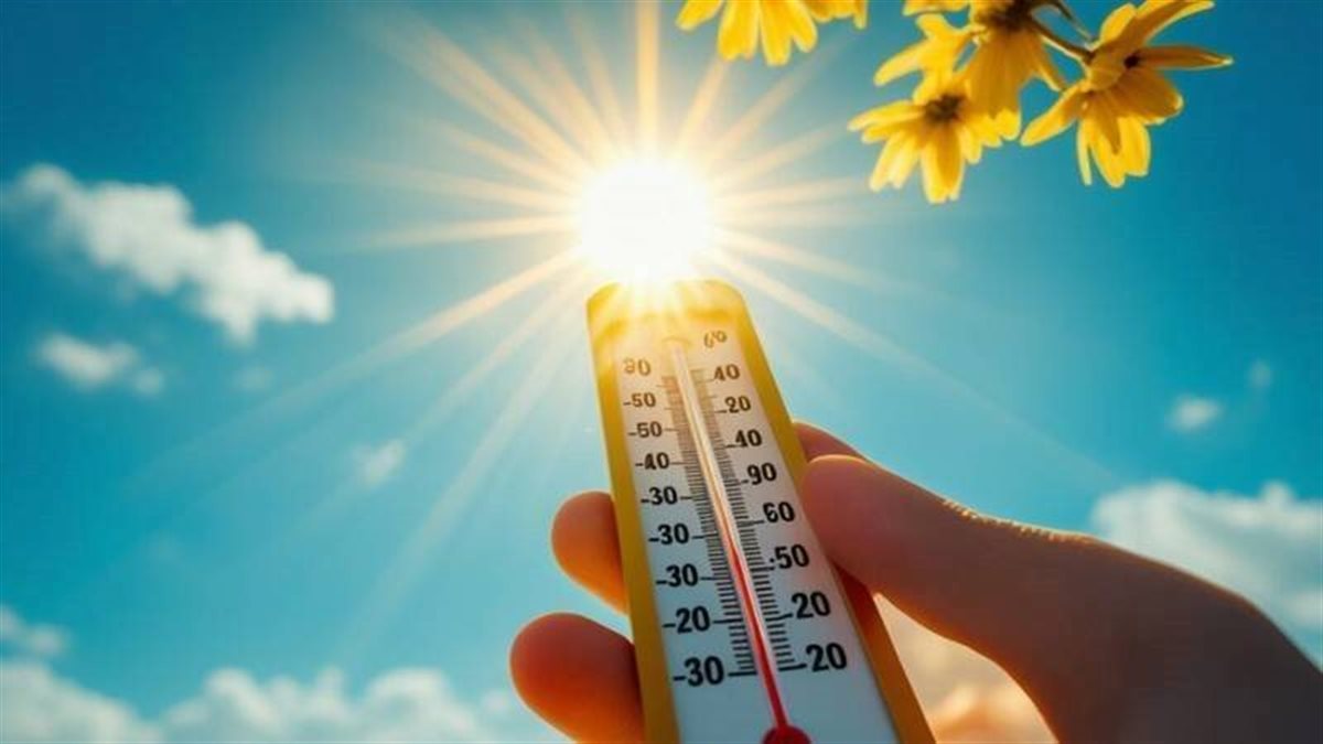 تحسن نسبي وأجواء أقل حرارة والعظمى بالقاهرة 33 درجة .. تفاصيل طقس اليوم الأربعاء