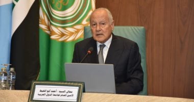 أبو الغيط يدعو الأطراف الليبية إلى وقف التصعيد وحل الخلافات عبر الحوار