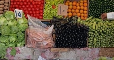 “تموين الأقصر” تعلن افتتاح 31 سوق يوم واحد خلال مرحلتى المبادرة.. صور