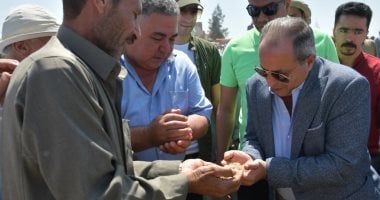 محافظ بورسعيد يشهد موسم حصاد الأرز بأراضى الجنوب.. فيديو وصور