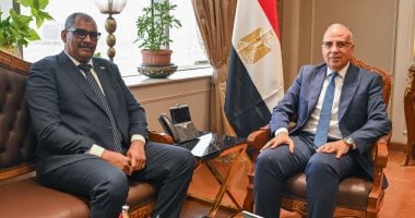 وزيرا الرى المصرى والسودانى: الحفاظ على مسار مبادرة حوض النيل