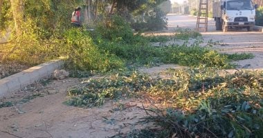 رفع 4 أطنان قمامة بالطود وترميم البلدورات بطريق الحزام الأخضر فى الأقصر