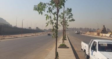 بدء أعمال زراعة محور صلاح سالم الجديد ضمن مبادرة 100 مليون شجرة.. صور