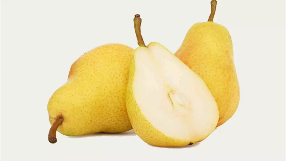 تفسير رؤية الكمثرى في المنام لابن سيرين وعلاقتها بالمرض