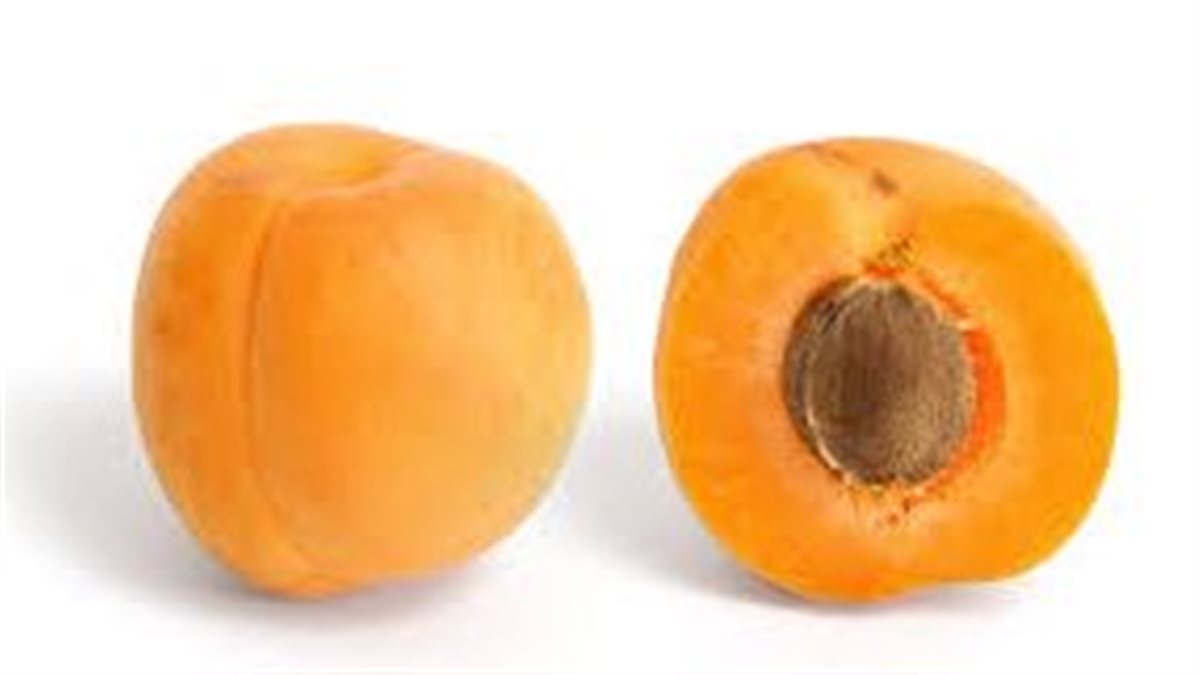 زيادة في الرزق.. تأويل رؤية المشمش في المنام لابن سيرين