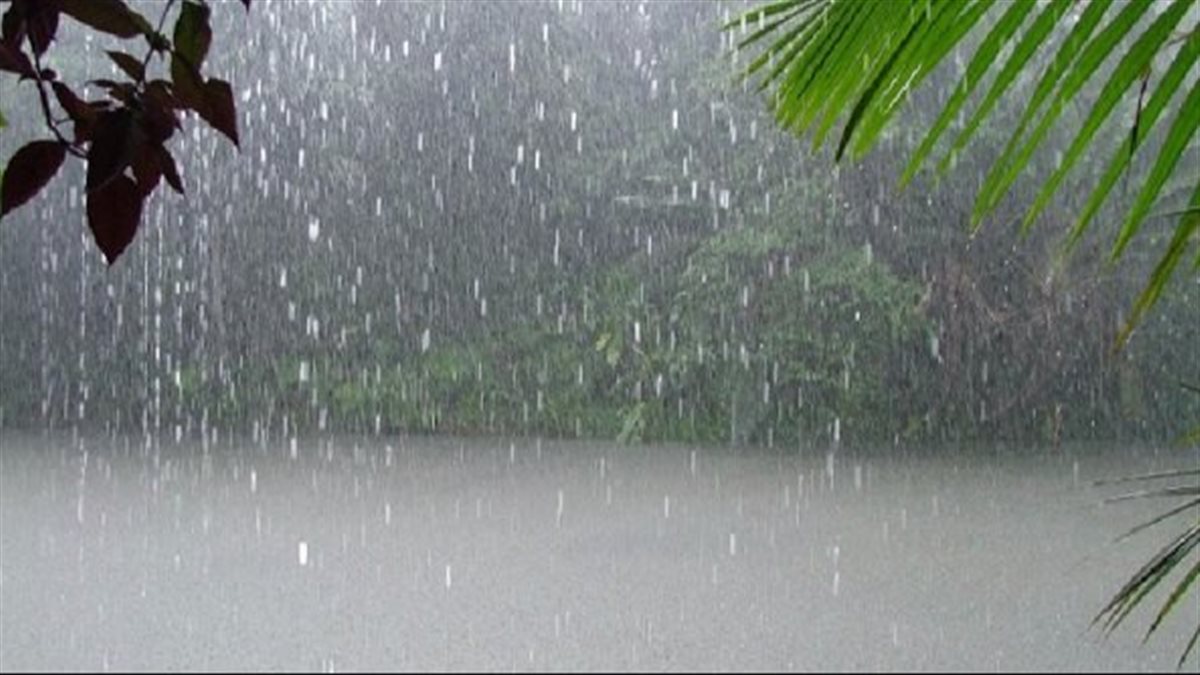 أمطار وسحب منخفضة.. تحذيرات من حالة الطقس اليوم والعظمى فى القاهرة 33