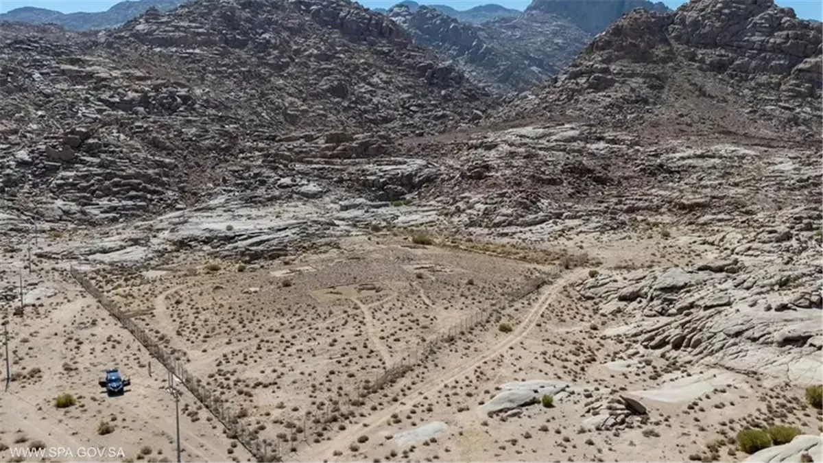 السعودية تعلن اكتشاف أقدم مستوطنة بشرية في تاريخ الجزيرة العربية