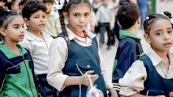 رابط نتيجة التحويلات المدرسية 2025 بالرقم القومي فقط