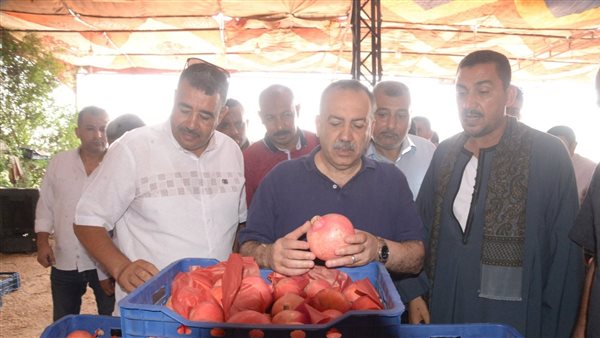 محافظ أسيوط يتفقد مواقع تجهيز وتصدير “الذهب الأحمر”ويعلن دعم كامل للمزارعين والمصدرين