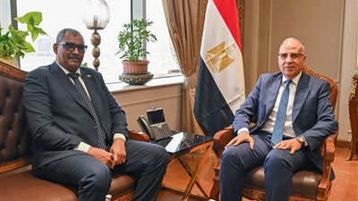 وزير الموارد المائية والري يلتقي نظيره السوداني للتعاون في مجال المياه