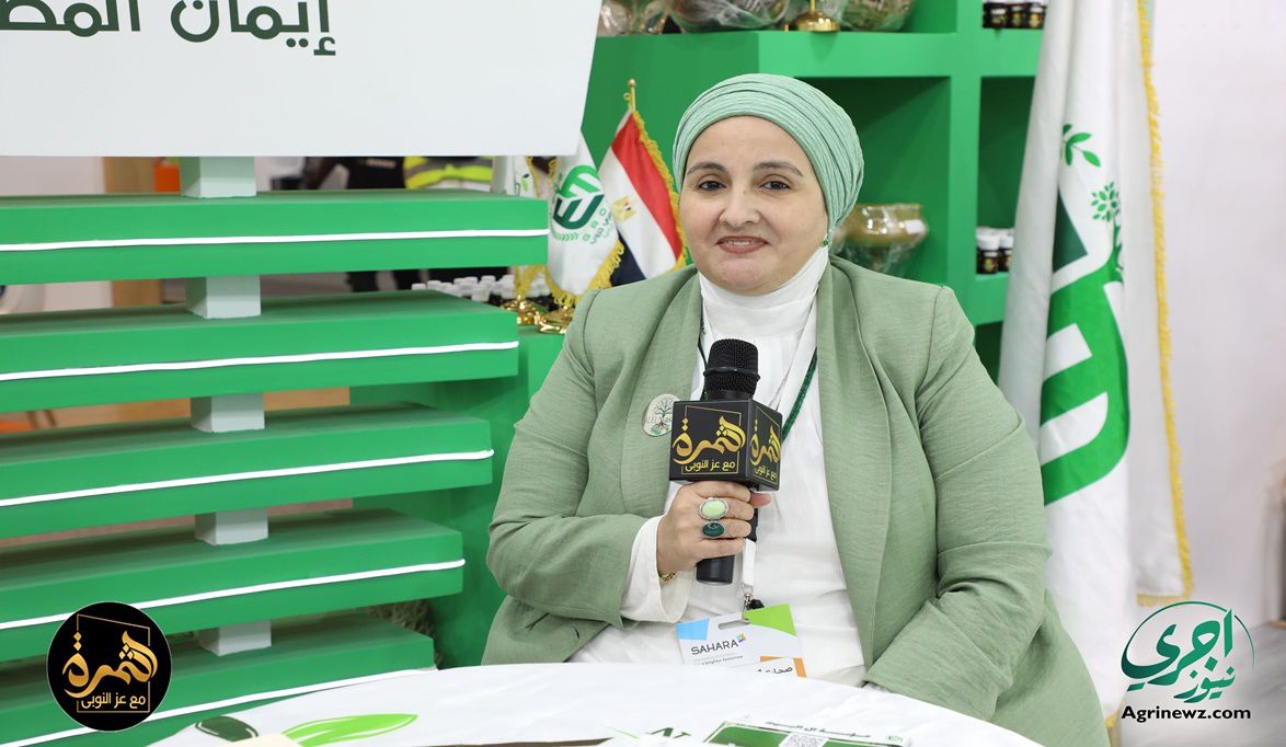 مؤسسة آل البيت إيمان المصري : خصومات على بقر الهولشتاين والجاموس المحسن وعجول التسمين والماعز الدمشقي بخصم 15 جنيها على الكيلو