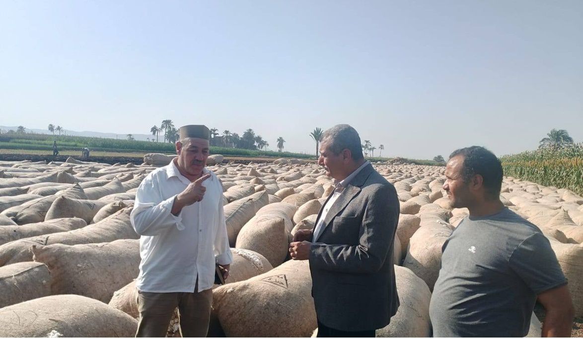 انطلاق موسم توريد الأقطان بأسيوط .. والمحافظ يؤكد دعم الفلاح ورفع جودة المحصول ضمن أولويات الدولة