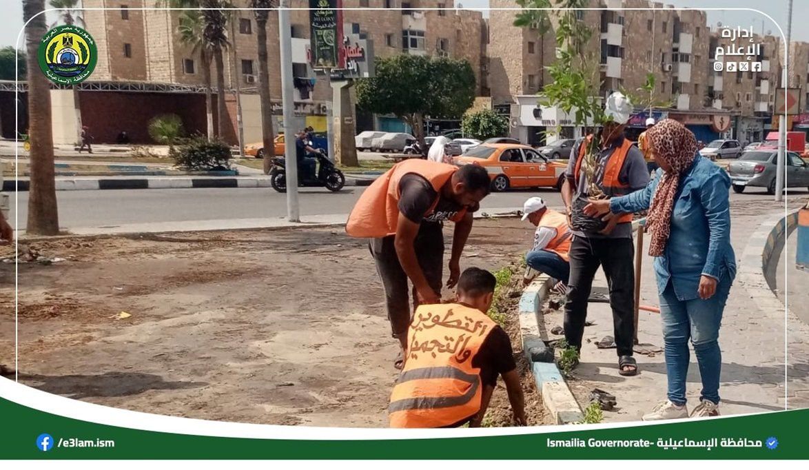 «تجميل الإسماعيلية»: تحويل بؤر المخلفات إلى مساحات خضراء في إطار خطة التطوير