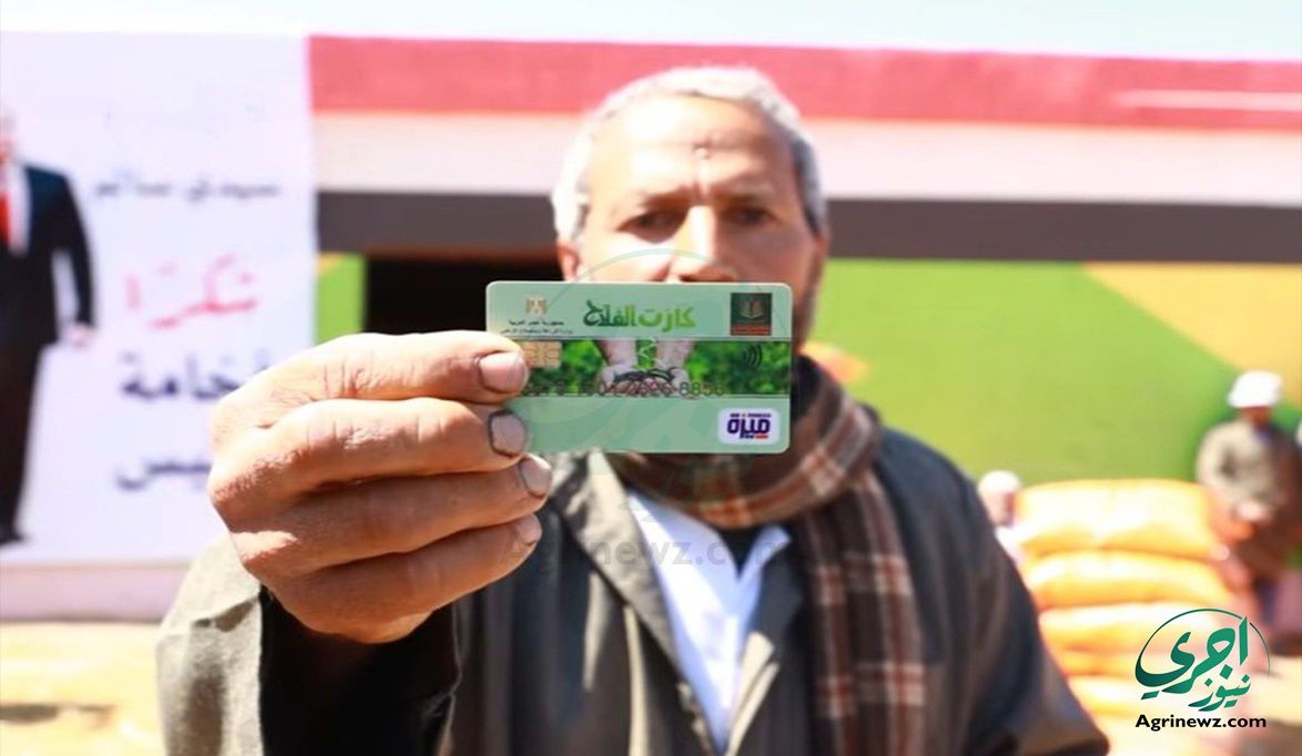الحكومة المصرية تستهدف 5.7 مليون مزارع  تحت مظلة كارت الفلاح بحلول 2030