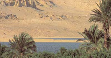 خطة لاستثمار الأراضي جنوب بحيرة قارون فى الفيوم.. تفاصيل