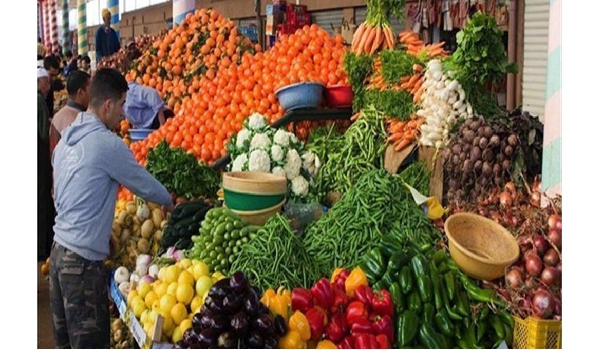 ارتفاع البامية وانخفاض الفلفل.. أسعار الخضار اليوم الثلاثاء 23 -9-2025