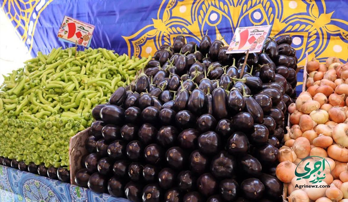 ارتفاع في الليمون وانخفاض في البطاطس.. اسعار الخضار اليوم الأثنين 15 سبتمبر 2025