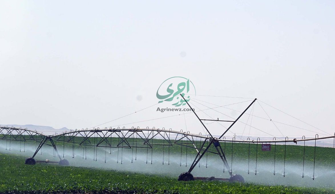 الاستثمار الزراعي خيار استراتيجي في ظل التحولات الاقتصادية وتعاظم التوجه نحو الاستدامة