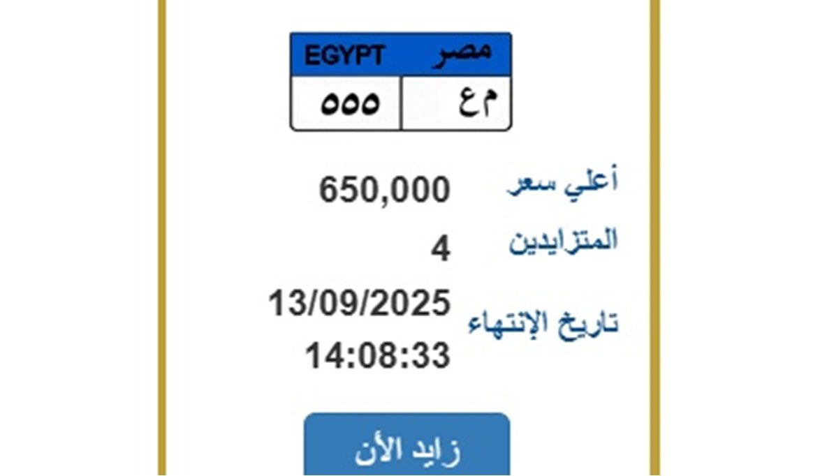 بـ 650 ألف جنيه .. المزايدة تشتعل علي لوحة طرحتها المرور للبيع