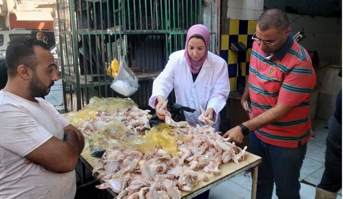 بيطري المنيا: ضبط لحوم مخالفة خلال حملات تفتيشية