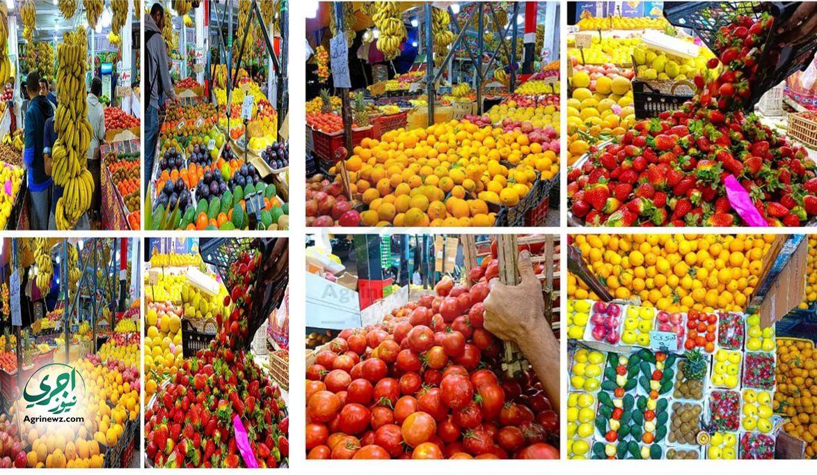 تحركات أسعار الطماطم وباقي الخضروات والفاكهة في سوق الجملة .. 19 سبتمبر 2025