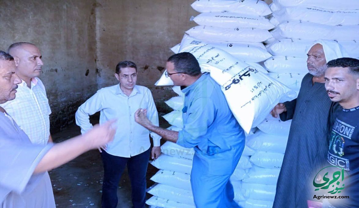 زراعة القليوبية لـ اجرى نيوز : انتهاء موسم الأسمدة الصيفي بالقليوبية وبدء الاستعداد للموسم الشتوي