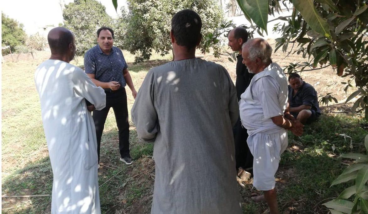زراعة بني سويف تنفذ ندوات إرشادية وزيارات حقلية على زراعات الذرة بالواسطى