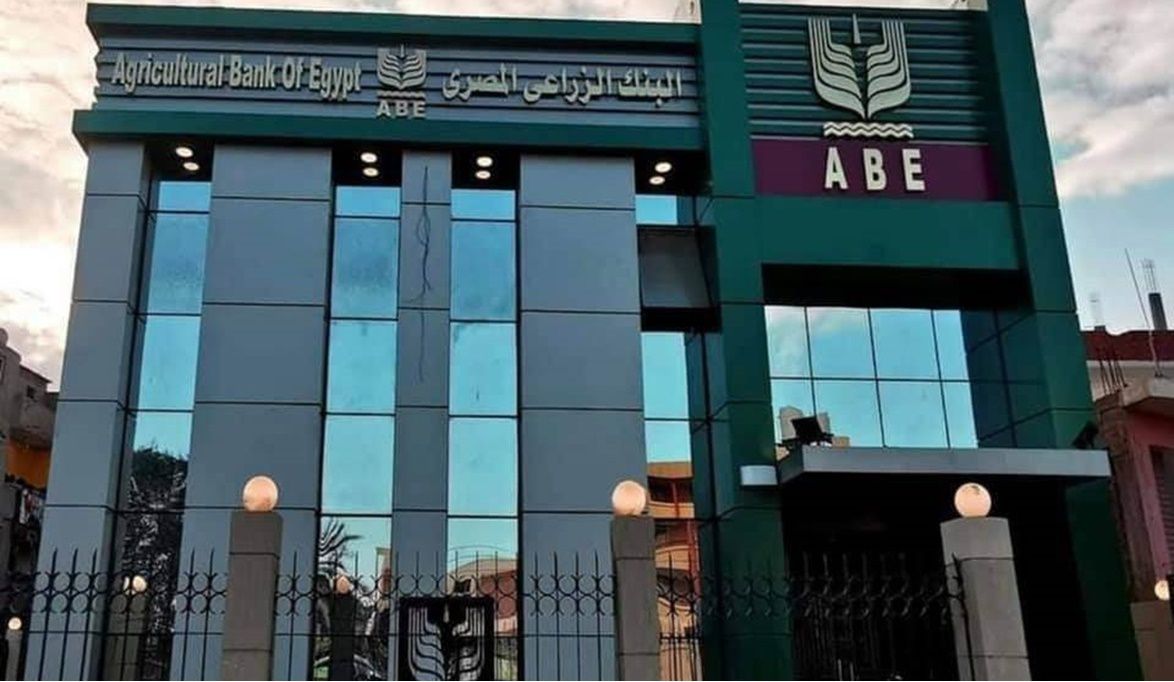مبادرة “احلم” .. البنك الزراعي يمول تربية أبقار محسنة وراثيًا لزيادة دخل المزارعين