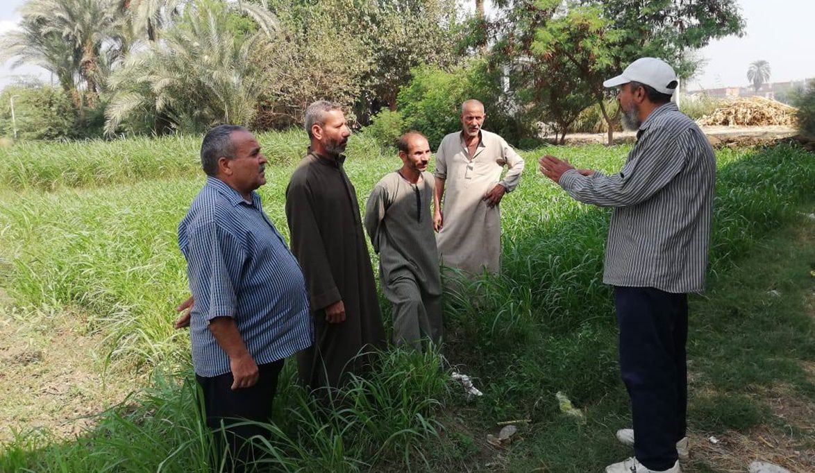 مركز ببا يشهد ندوة للتوعية بأحدث الممارسات الزراعية لمحصولي الذرة والفاصوليا