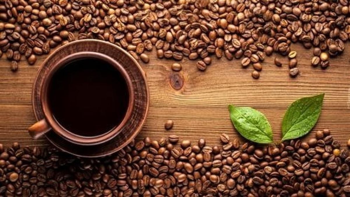 لأول مرة في تاريخها.. مصر تنتج قهوة 100% محلية من أراضي القناطر الخيرية