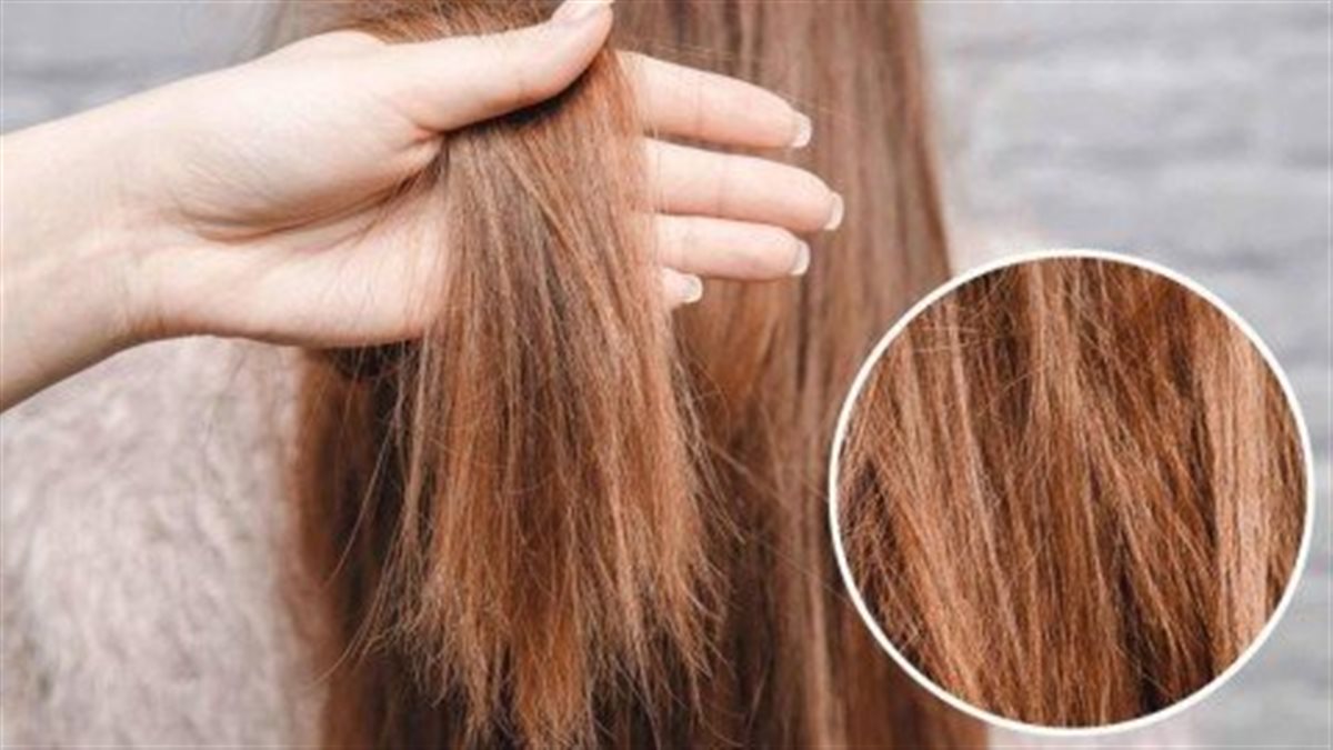 للعناية بالشعر في الشتاء.. خطوات أساسية تحافظ على حيويته وجماله