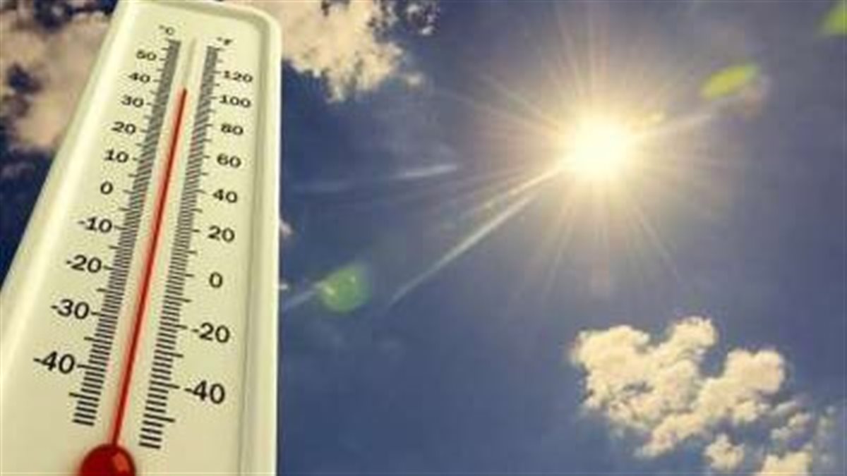 شبورة وسحب منخفضة.. الأرصاد تكشف حالة الطقس غدًا الخميس 23-10-2025